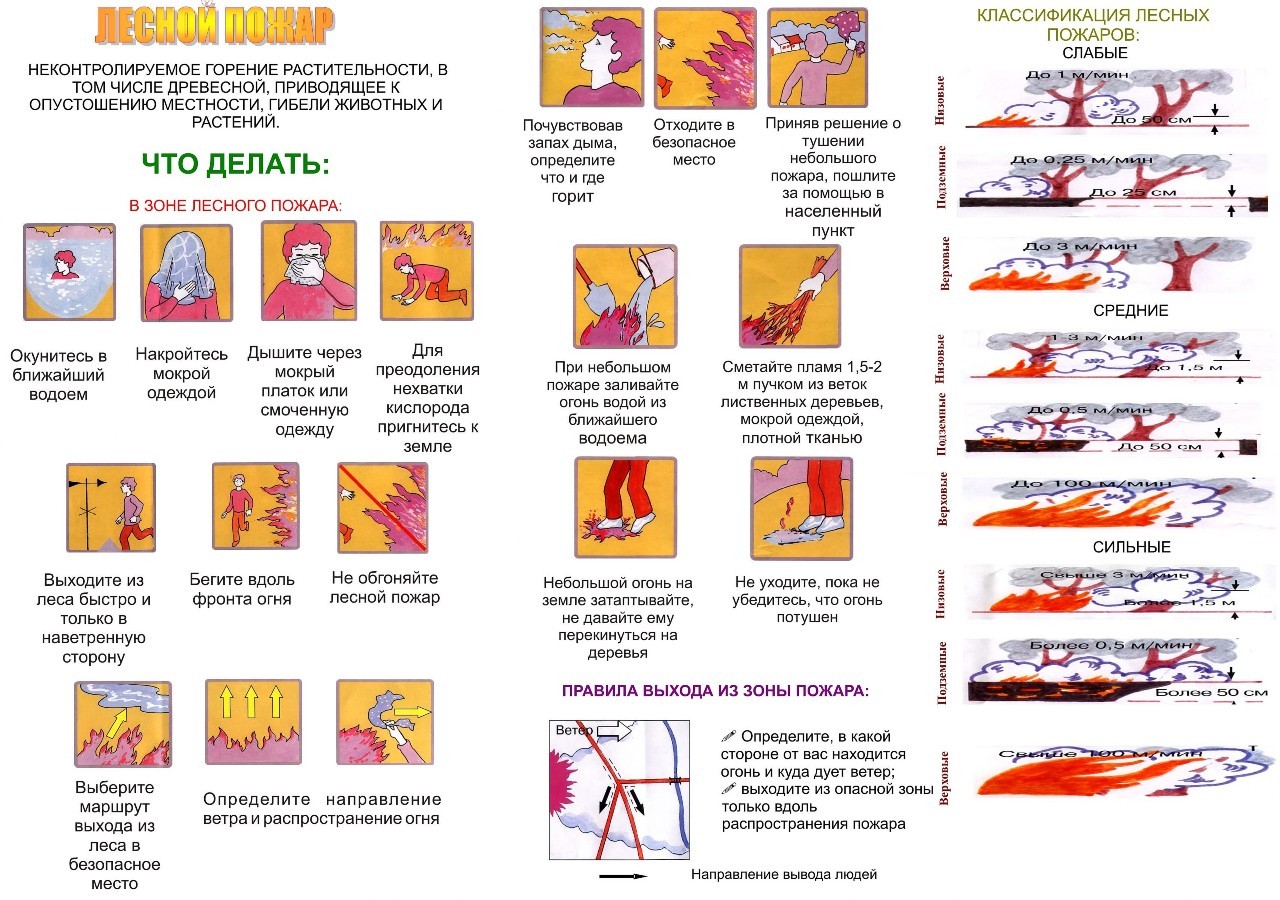 План лесного пожара